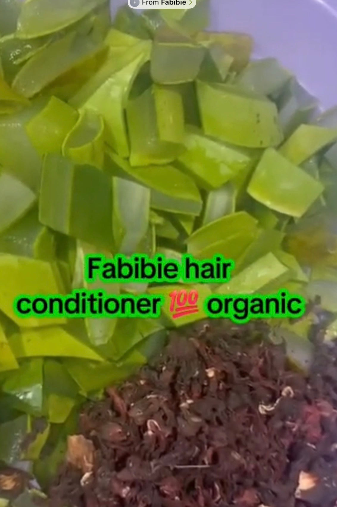 FABIBIE hair organic Duo shampoo & conditioner made with organic ingredients big size 16oz each